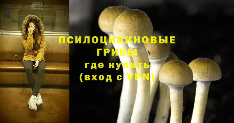 Галлюциногенные грибы Magic Shrooms  Калининск 